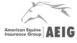 aeig_logo