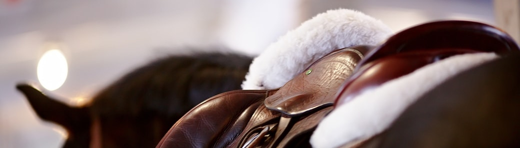 Equine Insurance Specialists