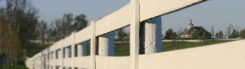 Equine Insurance Specialists