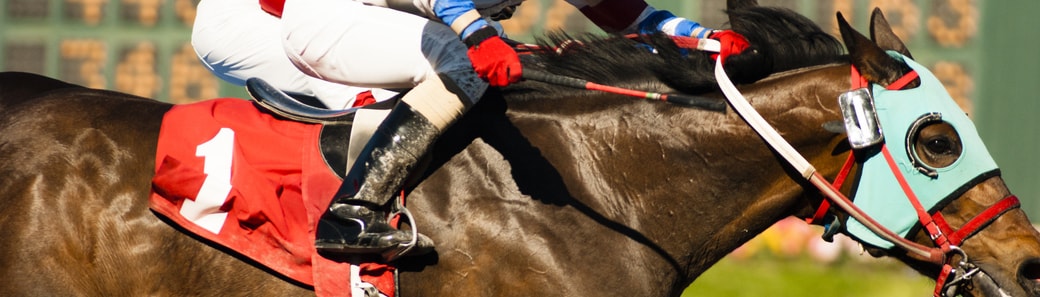 Equine Insurance Specialists