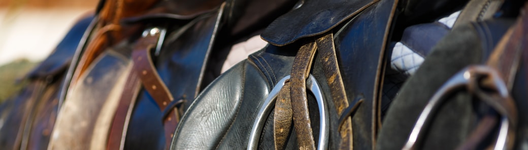 Equine Insurance Specialists